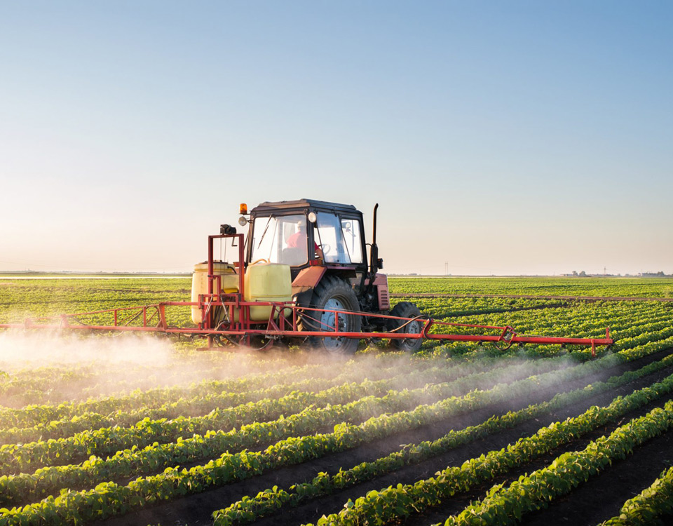 Sustainable Gardening Practices embracing methods blog